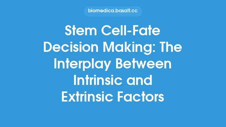 Stem Cell-Fate Decision Making: The Interplay Between Intrinsic and Extrinsic Factors Thumbnail
