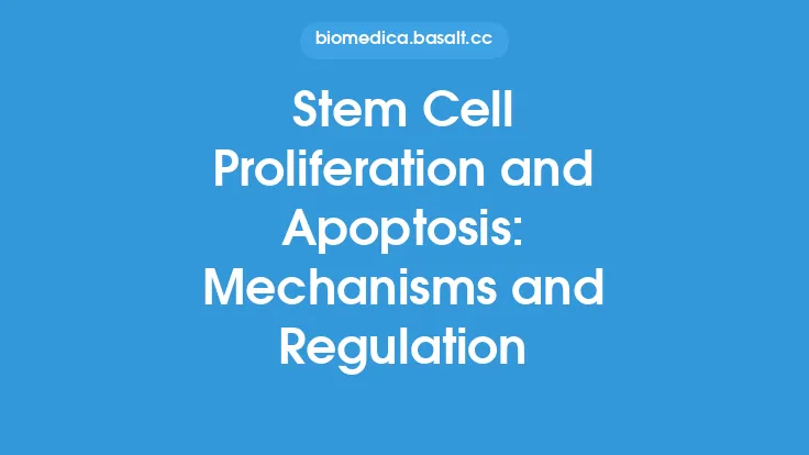 Stem Cell Proliferation and Apoptosis: Mechanisms and Regulation Thumbnail