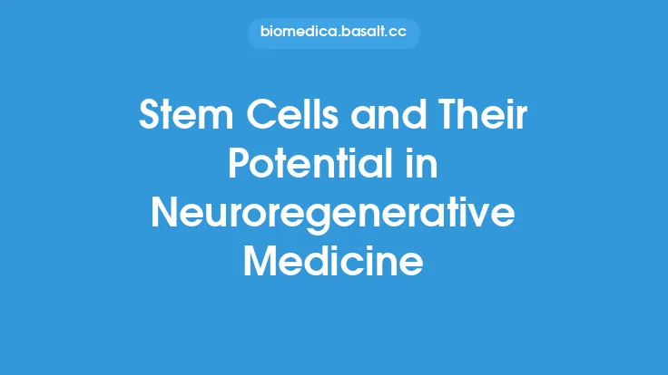 Stem Cells and Their Potential in Neuroregenerative Medicine Thumbnail