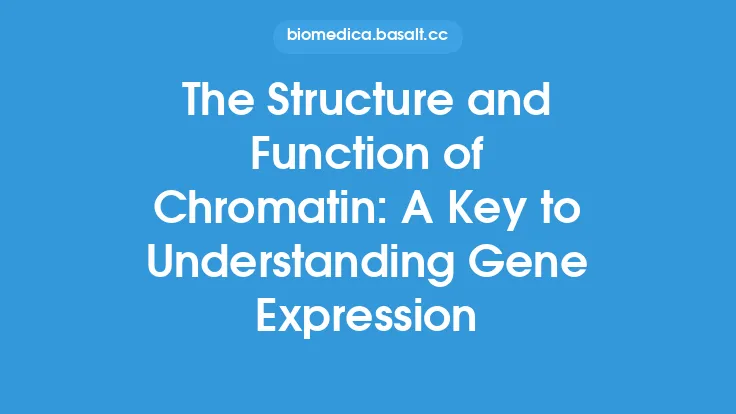 The Structure and Function of Chromatin: A Key to Understanding Gene Expression Thumbnail