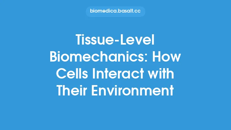 Tissue-Level Biomechanics: How Cells Interact with Their Environment Thumbnail