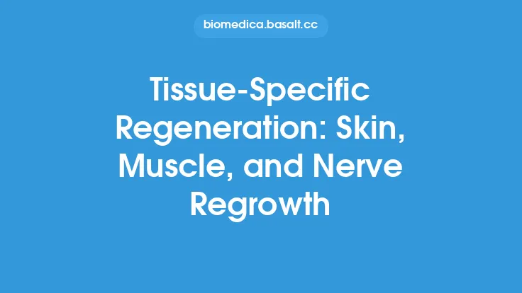 Tissue-Specific Regeneration: Skin, Muscle, and Nerve Regrowth Thumbnail