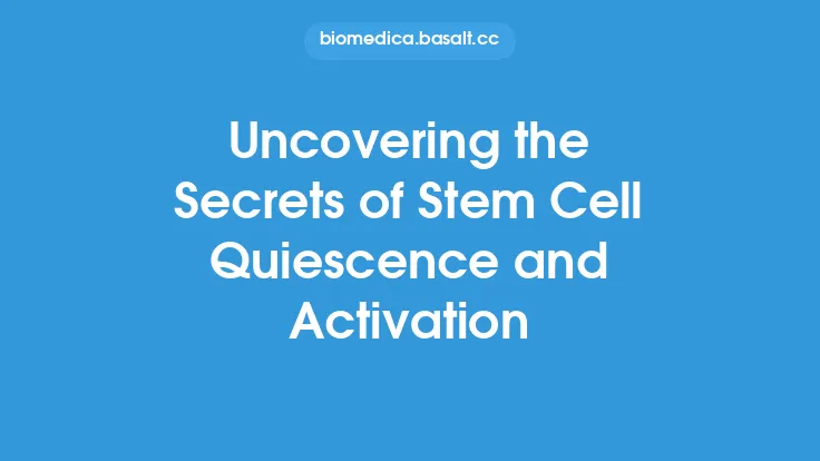 Uncovering the Secrets of Stem Cell Quiescence and Activation Thumbnail