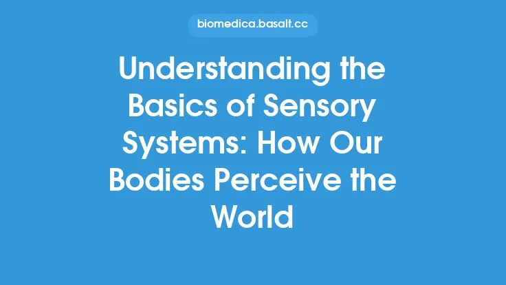 Understanding the Basics of Sensory Systems: How Our Bodies Perceive the World Thumbnail