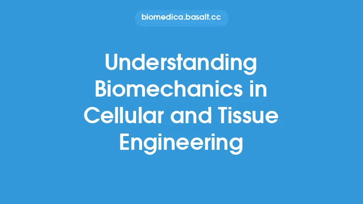 Understanding Biomechanics in Cellular and Tissue Engineering Thumbnail