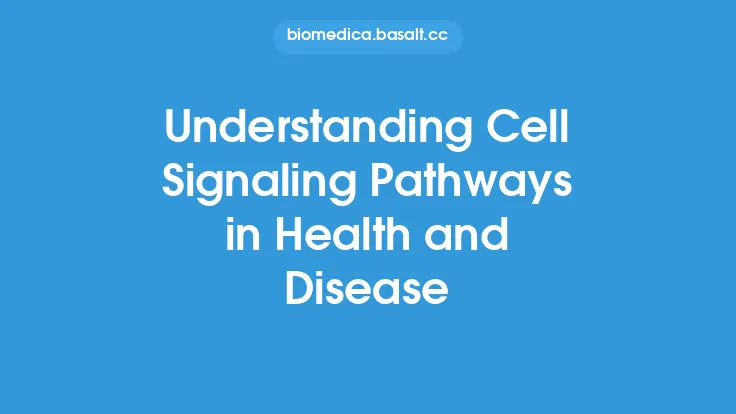 Understanding Cell Signaling Pathways in Health and Disease Thumbnail
