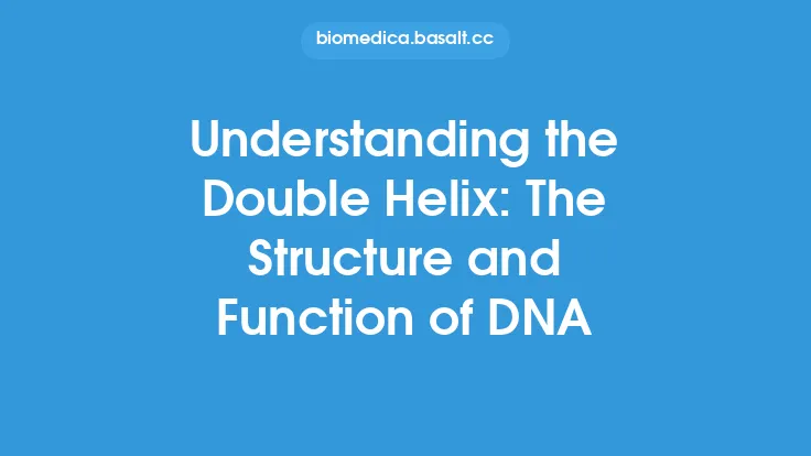 Understanding the Double Helix: The Structure and Function of DNA Thumbnail