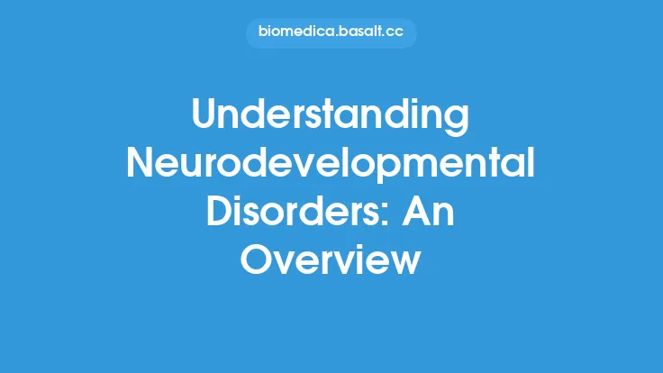 Understanding Neurodevelopmental Disorders: An Overview Thumbnail