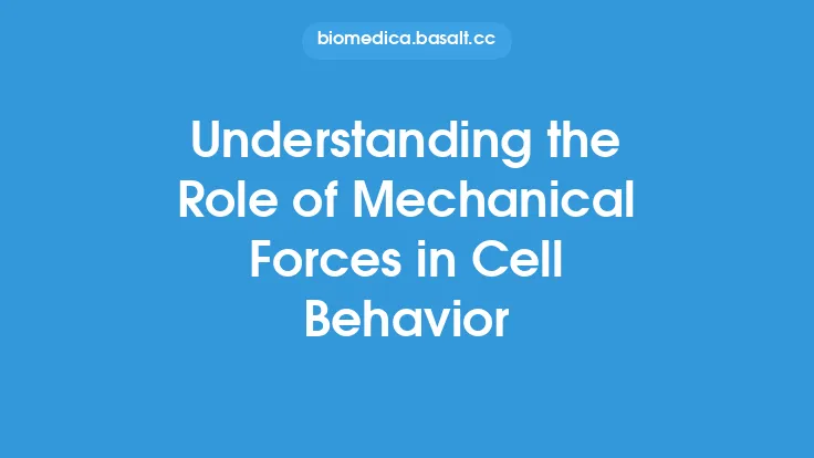 Understanding the Role of Mechanical Forces in Cell Behavior Thumbnail