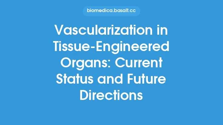Vascularization in Tissue-Engineered Organs: Current Status and Future Directions Thumbnail